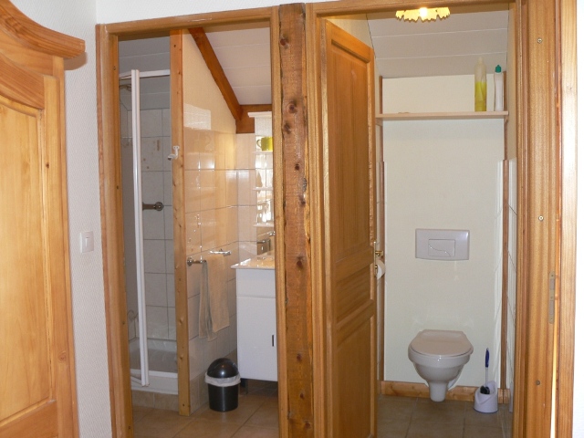 salle de bain et WC appartement Cristol, location nevache ALLAIN